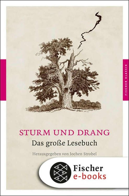Produktbild: Sturm und Drang