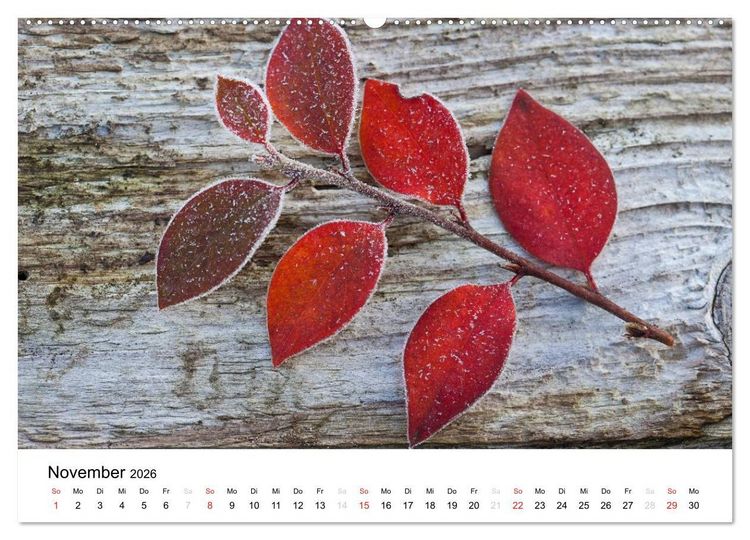 Produktbild: Mein Jahr im Landhausgarten (Wandkalender 2026 DIN A2 quer), CALVENDO Monatskalender