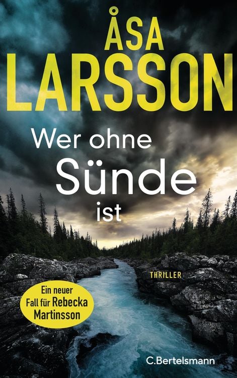 Bild vom Artikel Wer ohne Sünde ist vom Autor Åsa Larsson