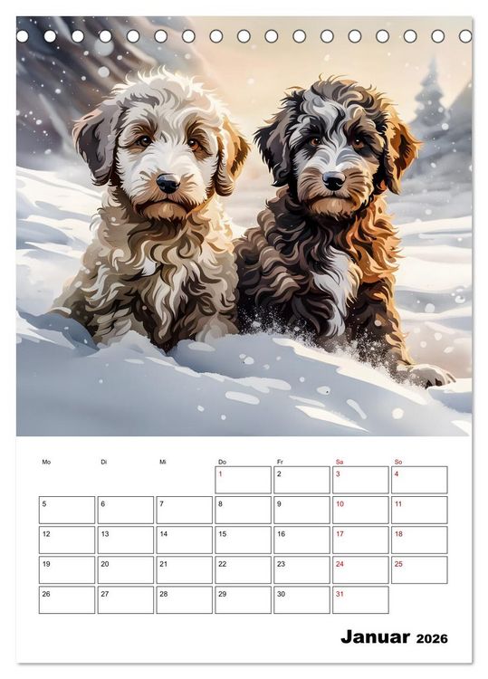 Produktbild: Aussiedoodle - Hunde zum Liebhaben (Tischkalender 2026 DIN A5 hoch), CALVENDO Monatskalender