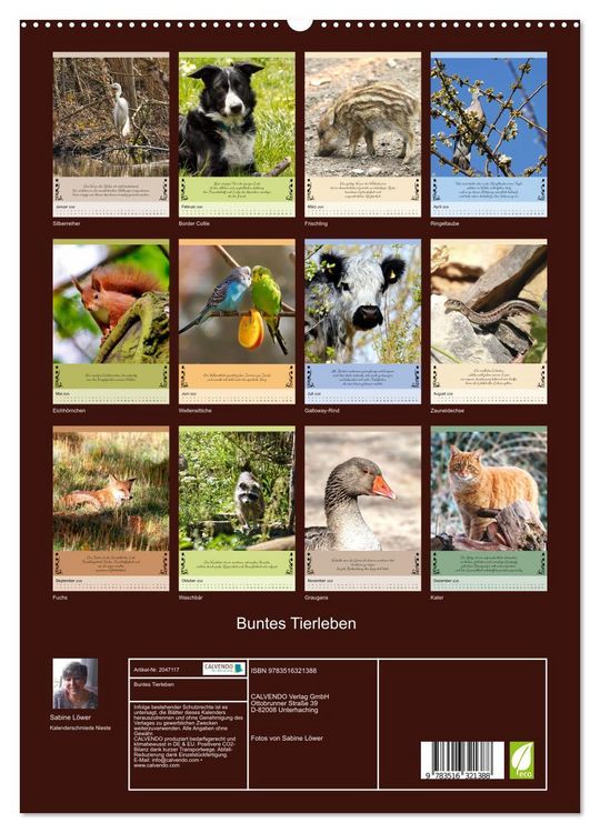 Produktbild: Buntes Tierleben (hochwertiger Premium Wandkalender 2026 DIN A2 hoch), Kunstdruck in Hochglanz