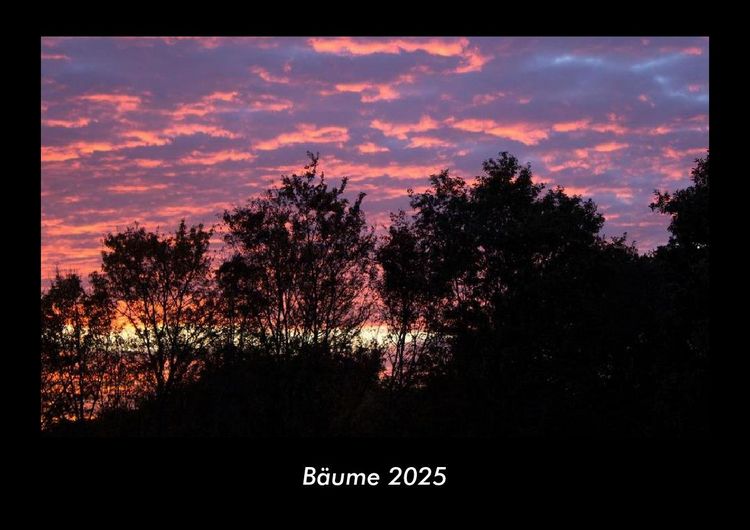 Produktbild: B&auml;ume 2025 Fotokalender DIN A3