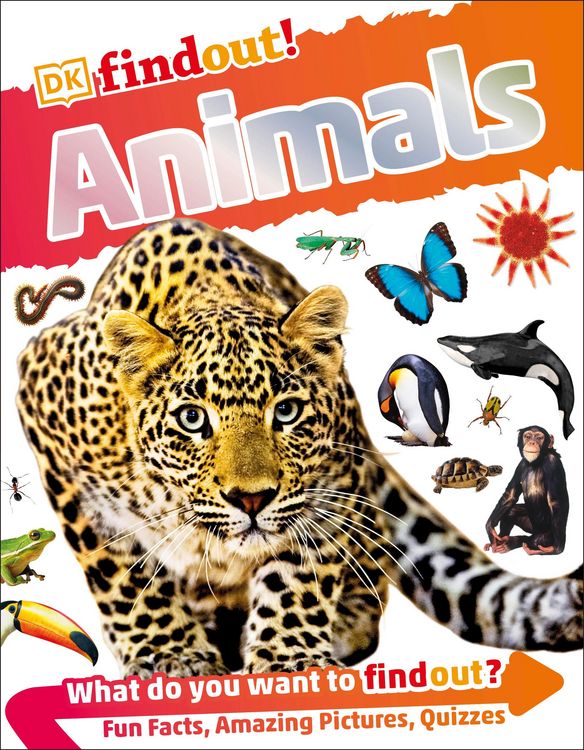 Produktbild: DKfindout! Animals