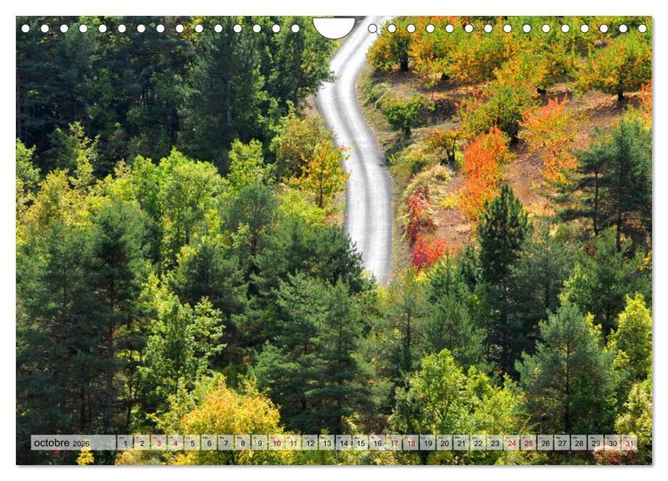 Produktbild: Au c&oelig;ur de la for&ecirc;t (Calendrier mural 2026 DIN A4 vertical), CALVENDO calendrier mensuel