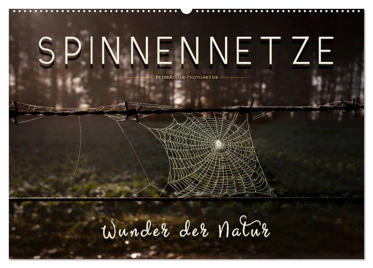 Produktbild: Spinnennetze - Wunder der Natur (Wandkalender 2026 DIN A2 quer), CALVENDO Monatskalender