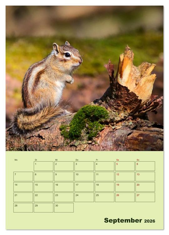 Produktbild: H&ouml;rnchen aus aller Welt (Wandkalender 2026 DIN A3 hoch), CALVENDO Monatskalender
