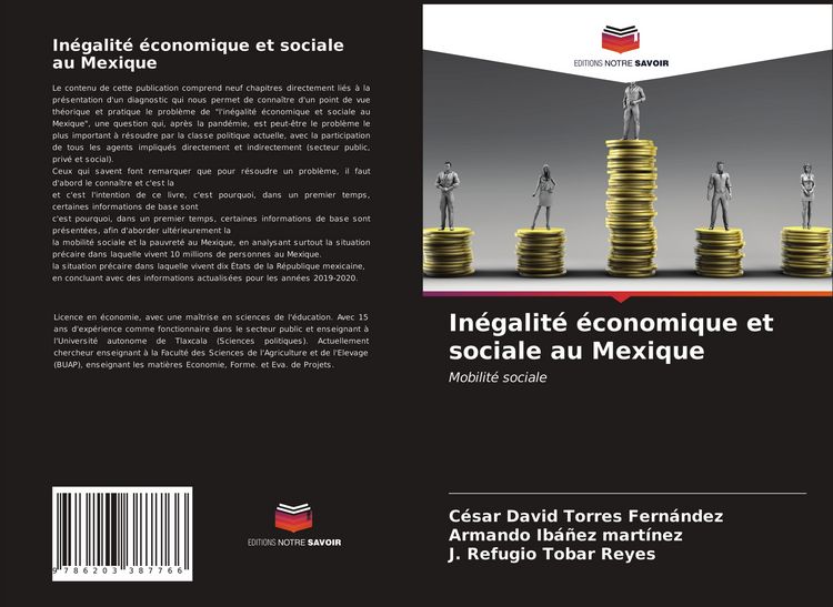 Produktbild: In&eacute;galit&eacute; &eacute;conomique et sociale au Mexique