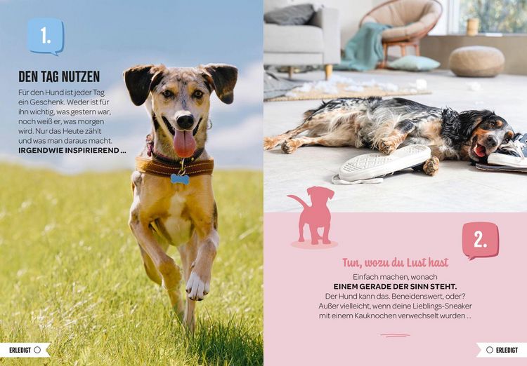 Produktbild: 100 Dinge, die man von einem Hund lernen kann