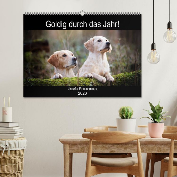 Produktbild: Goldig durch das Jahr! (Wandkalender 2026 DIN A2 quer), CALVENDO Monatskalender