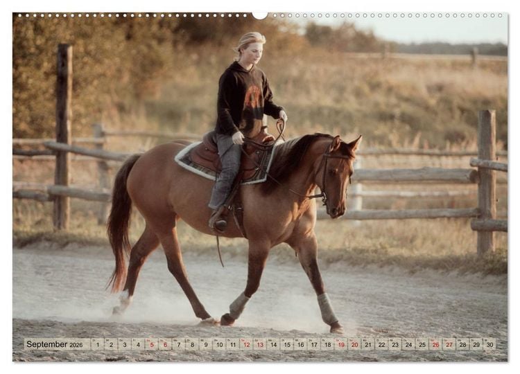 Produktbild: Quarter Horses - Die gr&ouml;&szlig;te Zuchtbuchrasse der Welt (hochwertiger Premium Wandkalender 2026 DIN A2 quer), Kunstdruck in Hochglanz