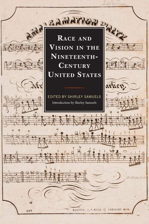 Produktbild: Race and Vision in the Nineteenth-Century United States