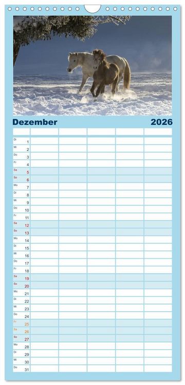 Produktbild: Familienplaner 2026 - Wei&szlig;e Pferde der Camargue in Bayern mit 5 Spalten (Wandkalender, 21 x 45 cm) CALVENDO