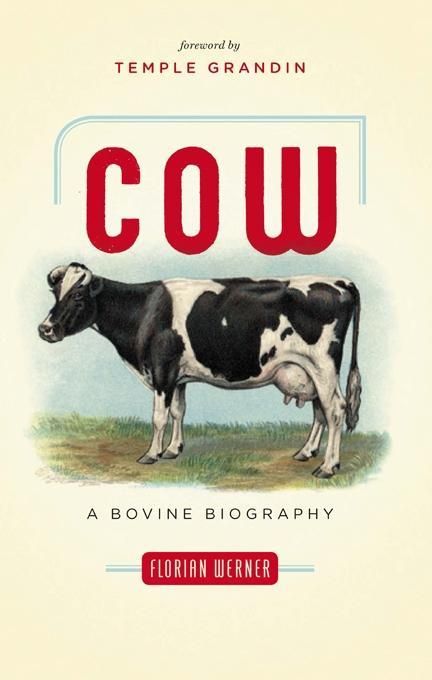 Produktbild: Cow