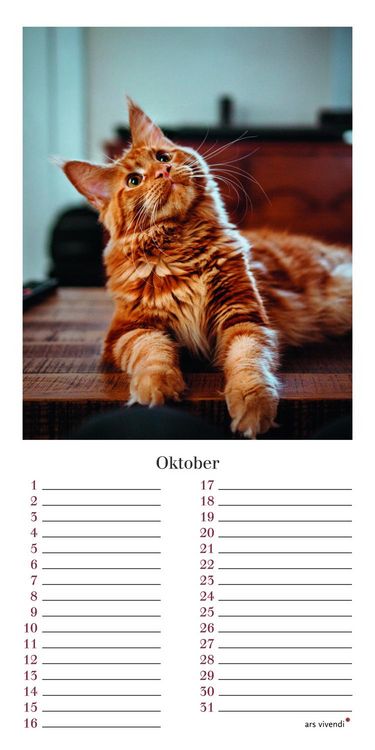 Produktbild: Geburtstagskalender Katzen