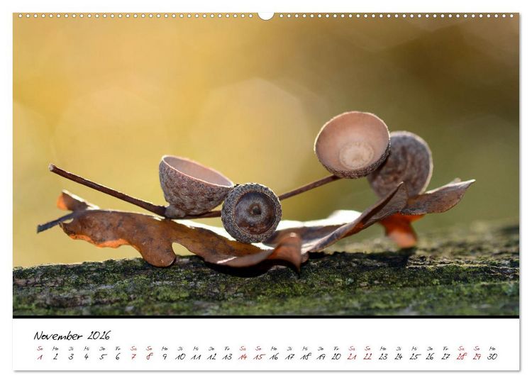 Produktbild: Sch&ouml;nheiten in freier Natur (hochwertiger Premium Wandkalender 2026 DIN A2 quer), Kunstdruck in Hochglanz