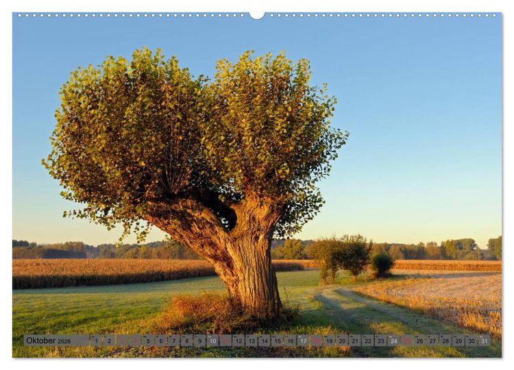 Produktbild: Der Niederrhein im Wandel der Jahreszeiten (Wandkalender 2026 DIN A2 quer), CALVENDO Monatskalender