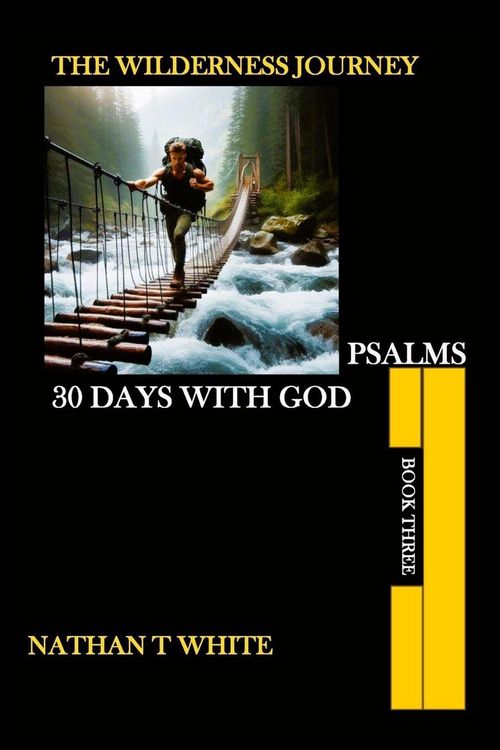 Produktbild: The Widerness Journey Book Three