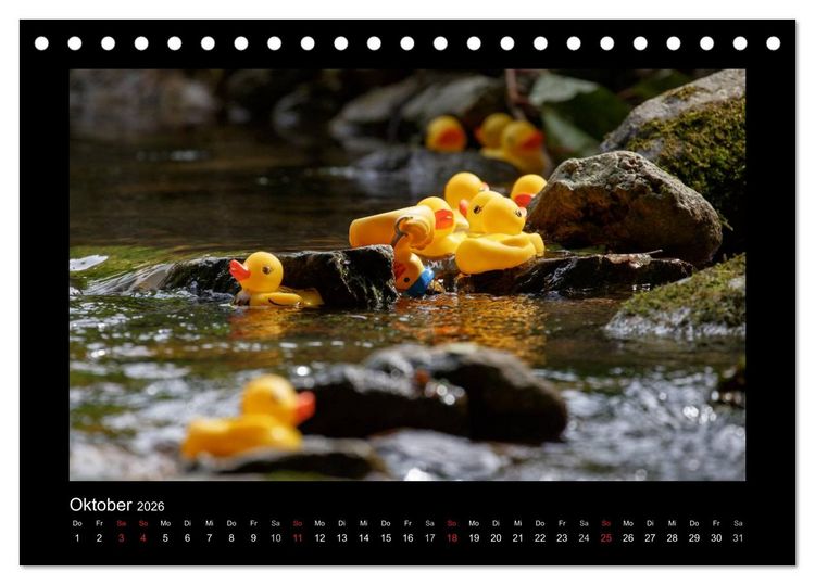 Produktbild: Enten-Rennen (Tischkalender 2026 DIN A5 quer), CALVENDO Monatskalender