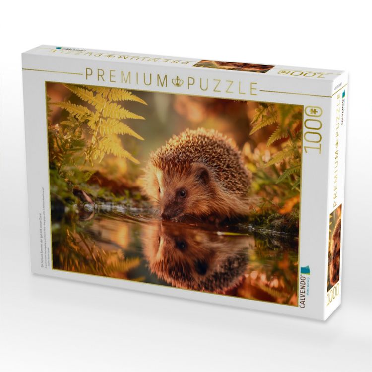 Produktbild: CALVENDO Puzzle Ein Schluck Sommer, der Igel stillt seinen Durst | 1000 Teile Lege-Gr&ouml;&szlig;e 64x48cm Foto-Puzzle f&uuml;r gl&uuml;ckliche Stunden