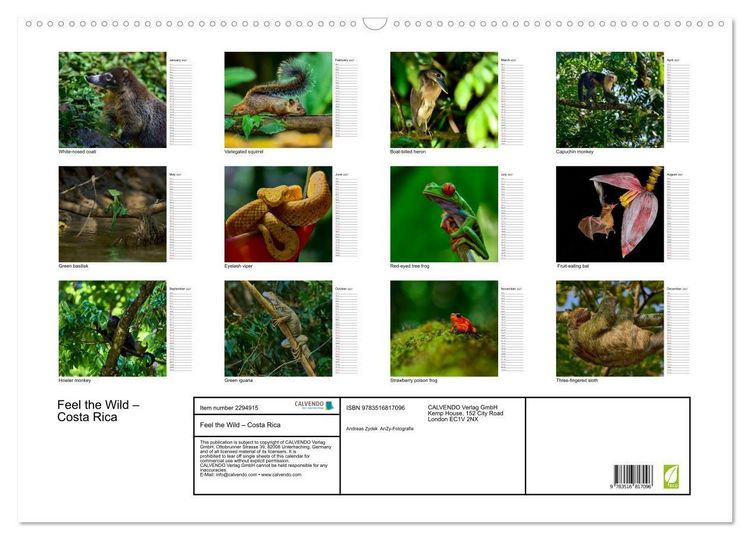 Produktbild: Feel the Wild &ndash; Costa Rica (Wall Calendar 2027 DIN A2 landscape), CALVENDO 12 Month Wall Calendar