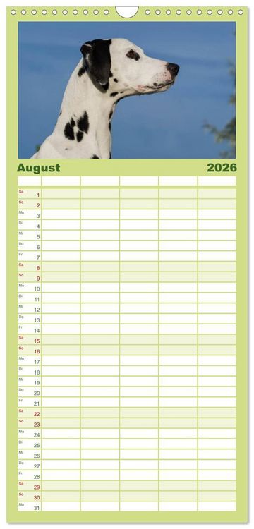 Produktbild: Familienplaner 2026 - Auf den Punkt - Dalmatiner mit 5 Spalten (Wandkalender, 21 x 45 cm) CALVENDO