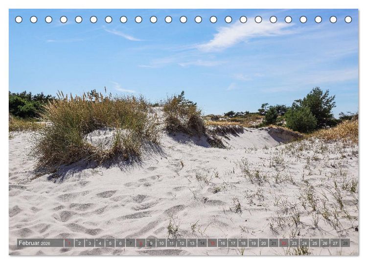 Produktbild: Fischland Dar&szlig; Zingst - wie gemalt (Tischkalender 2026 DIN A5 quer), CALVENDO Monatskalender