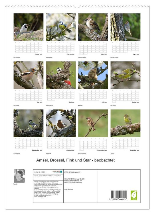 Produktbild: Amsel, Drossel, Fink und Star - beobachtet (hochwertiger Premium Wandkalender 2026 DIN A2 hoch), Kunstdruck in Hochglanz