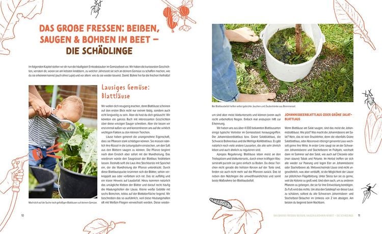 Produktbild: Wer knabbert da an meinem Gem&uuml;se?