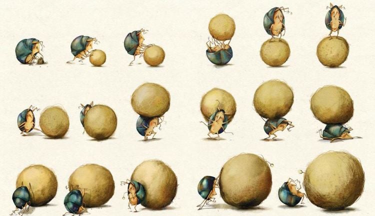 Produktbild: Der flei&szlig;ige Mistk&auml;fer und die Tr&auml;ume der Anderen