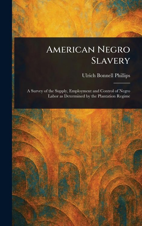 Produktbild: American Negro Slavery