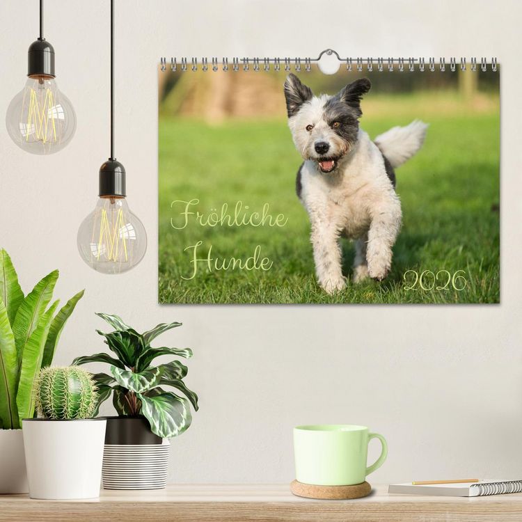 Produktbild: Fr&ouml;hliche Hunde (Wandkalender 2026 DIN A4 quer), CALVENDO Monatskalender