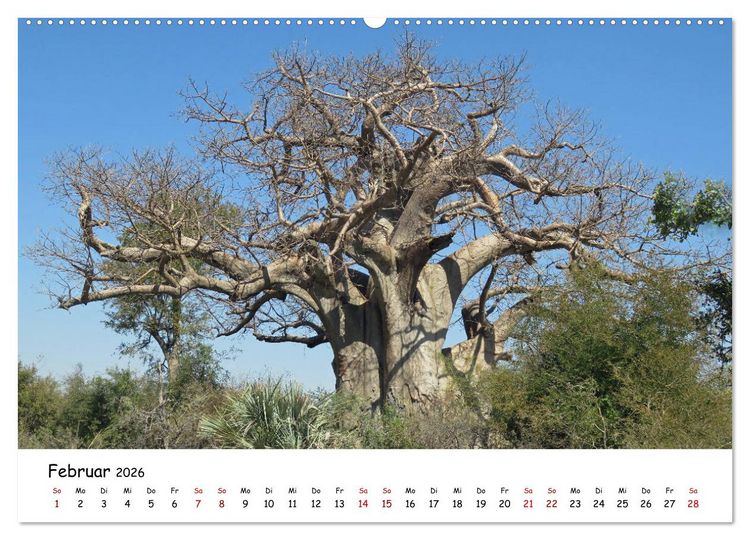 Produktbild: Natur und Landschaft. S&uuml;dliches Afrika 2026 (hochwertiger Premium Wandkalender 2026 DIN A2 quer), Kunstdruck in Hochglanz