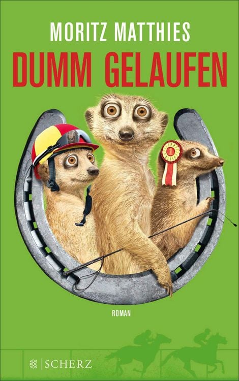 Produktbild: Dumm gelaufen