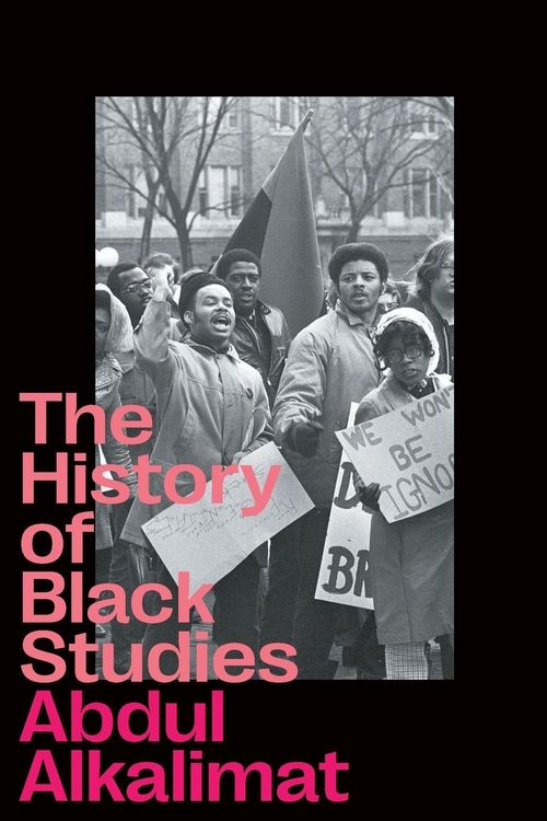 Produktbild: The History of Black Studies