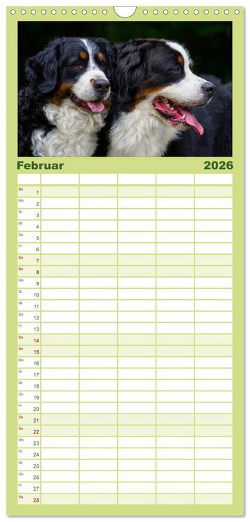 Produktbild: Familienplaner 2026 - Treuer Freund Berner Sennenhund mit 5 Spalten (Wandkalender, 21 x 45 cm) CALVENDO
