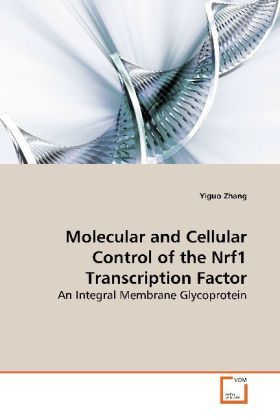 Produktbild: Zhang, Y: Molecular and Cellular Control of the Nrf1Transcri