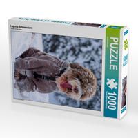 Produktbild: CALVENDO Puzzle Lagotto Schneealarm | 1000 Teile Lege-Gr&ouml;&szlig;e 64x48cm Foto-Puzzle f&uuml;r gl&uuml;ckliche Stunden