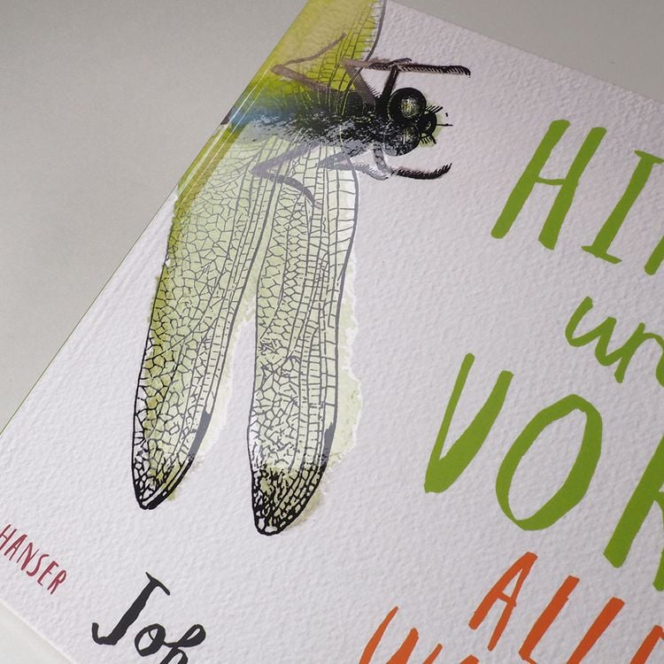 Produktbild: Hinten und vorn - Alles, was krabbelt und fliegt
