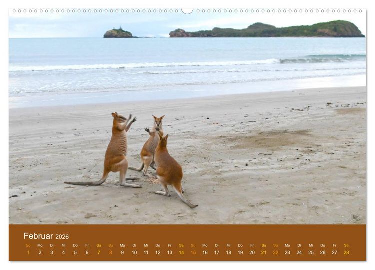 Produktbild: K&auml;ngurus, sprunghafte Gesellen (hochwertiger Premium Wandkalender 2026 DIN A2 quer), Kunstdruck in Hochglanz