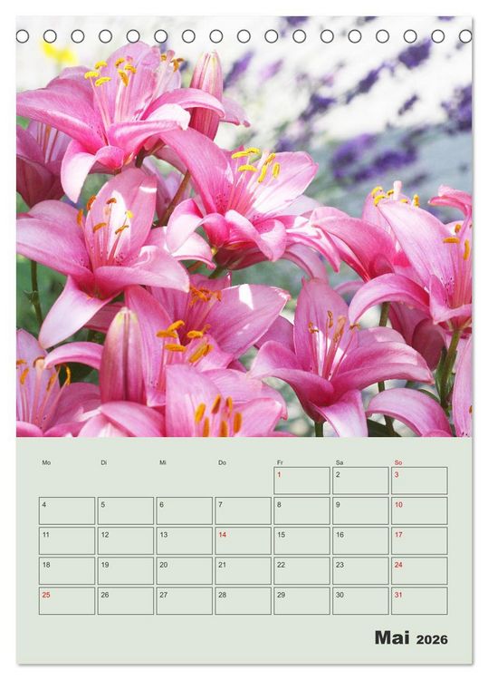 Produktbild: Lilien im Garten (Tischkalender 2026 DIN A5 hoch), CALVENDO Monatskalender