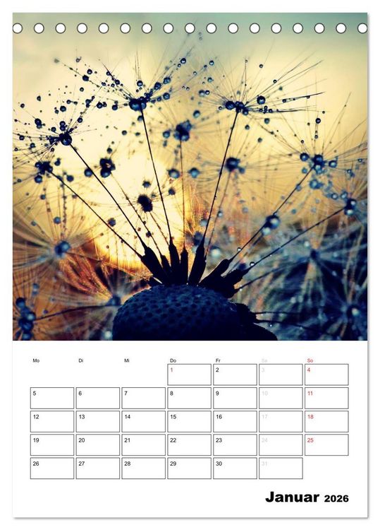 Produktbild: Pusteblumentraum - Dreams of Dandelion (Tischkalender 2026 DIN A5 hoch), CALVENDO Monatskalender