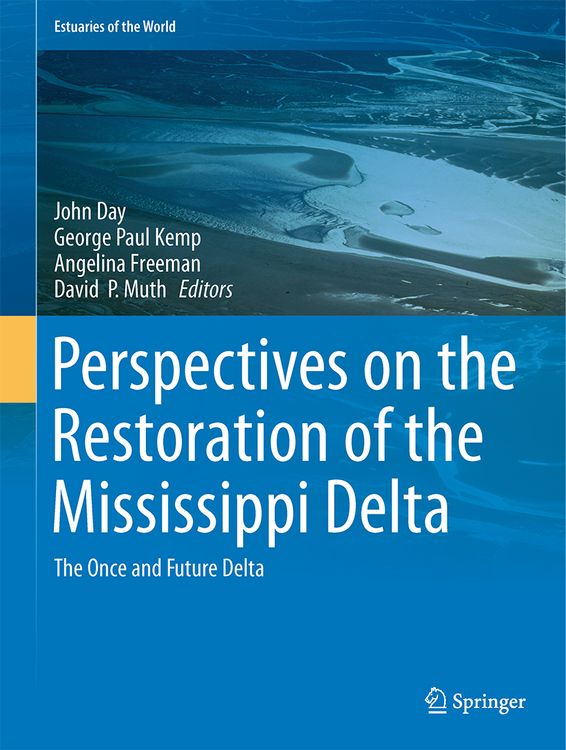Produktbild: Perspectives on the Restoration of the Mississippi Delta