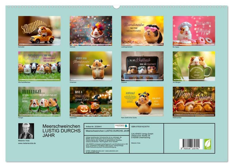 Produktbild: Meerschweinchen LUSTIG DURCHS JAHR (hochwertiger Premium Wandkalender 2026 DIN A2 quer), Kunstdruck in Hochglanz
