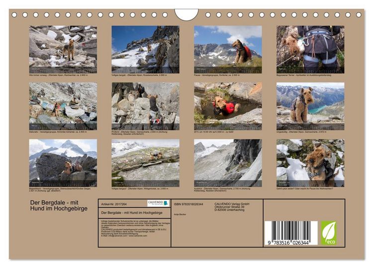 Produktbild: Der Bergdale - mit Hund im Hochgebirge (Wandkalender 2026 DIN A4 quer), CALVENDO Monatskalender
