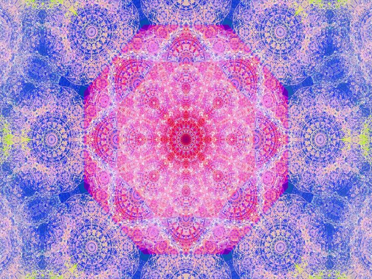 Produktbild: CALVENDO Puzzle Orientalische Orchidee | 1000 Teile Lege-Gr&ouml;&szlig;e 64x48cm Foto-Puzzle f&uuml;r gl&uuml;ckliche Stunden