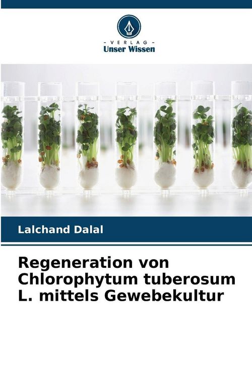 Produktbild: Regeneration von Chlorophytum tuberosum L. mittels Gewebekultur