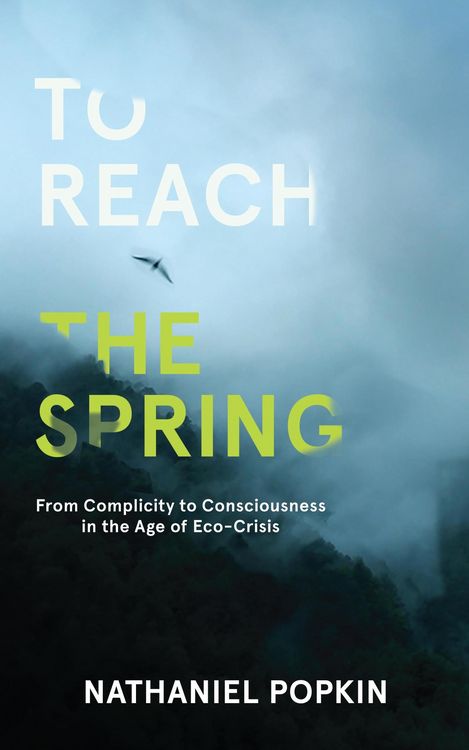 Produktbild: To Reach the Spring: From Complicity to Consciousness in the Age of Eco-Crisis