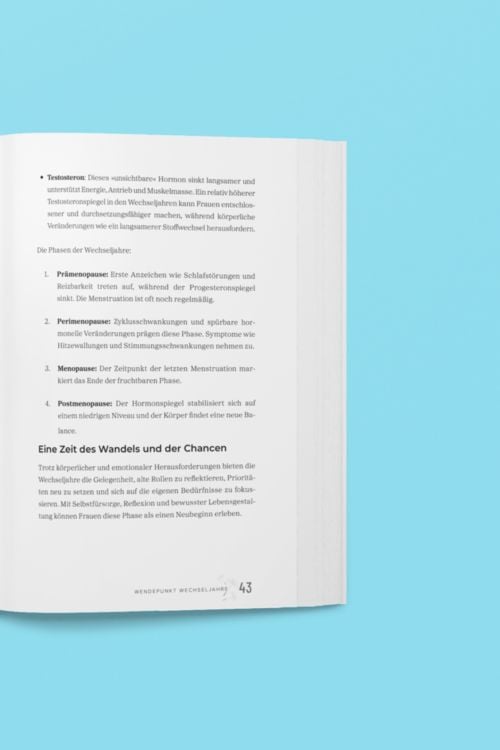 Produktbild: Wendepunkt Wechseljahre: Dein neues Leben beginnt jetzt!