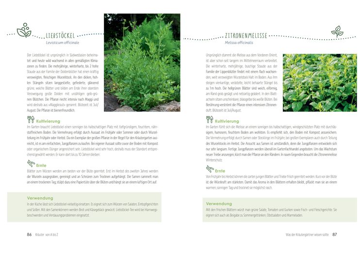 Produktbild: Kr&auml;uterg&auml;rten anlegen und pflegen. Biologisch g&auml;rtnern und genie&szlig;en