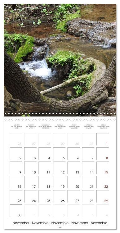 Produktbild: Habitat Forest (Wall Calendar 2026 12 &times; 12 Inch) CALVENDO 12 Month Wall Calendar